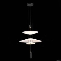 Подвесная люстра ST Luce SL6101.413.01