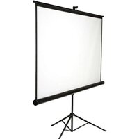 Проекционный экран Future Vision Tripod 220x220 T220SMW