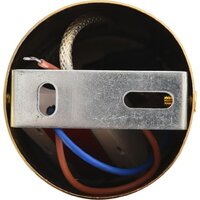 Подвесная люстра Lumion Taisha 8324/20L