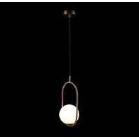 Подвесная люстра LOFT IT Glob LOFT2595-A