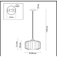 Подвесная люстра Odeon Light Binga 4746/1