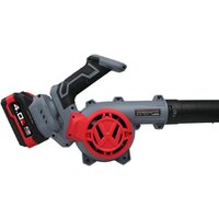 Садовая воздуходувка Profipower DWDUB-20V (с 1-им АКБ)