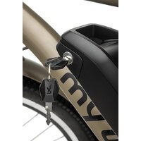 Электровелосипед MyWay Let 250 26 (бронзовый)