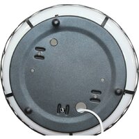 Припотолочная люстра Элетех Аманда 220 НПО 22-60-240 1005150531 (опал/черный муар)