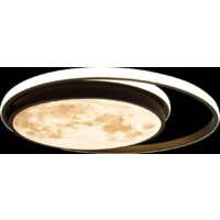 Припотолочная люстра LOFT IT Luna 10217