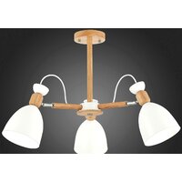 Люстра средней высоты Evoluce Balcamo SLE103802-03