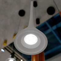 Подвесная люстра Favourite Klokken 4407-1P