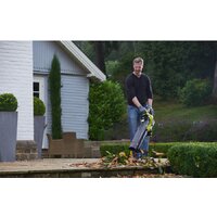 Садовая воздуходувка Ryobi RBV36B [5133002524]