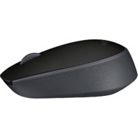 Мышь Logitech M171 (черный)