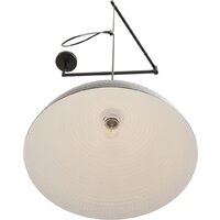Подвесная люстра Lumion Armina 8321/1C