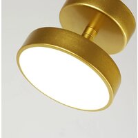 Припотолочная люстра F-Promo Atma 3059-1P