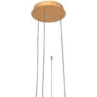 Подвесная люстра LOFT IT Ring 10017/3L