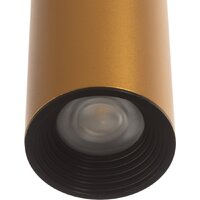 Припотолочная люстра BayerLux Лукас 9919638 (матовое золото)