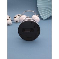 Настольные часы ILikeGift Capybara, congratel 100P-635-03 (белый)
