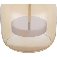 Подвесная люстра Myfar Charlie MR2132-1PL