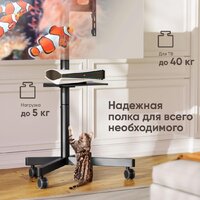 Стойка для телевизора Onkron TS1137 (черный)