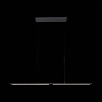 Подвесная люстра ST Luce Ralio SL1580.403.01