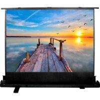 Проекционный экран CACTUS FloorExpert 113x200 CS-PSFLE-200X113