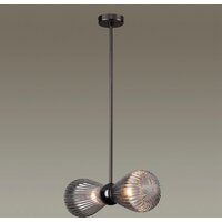Подвесная люстра Odeon Light Elica 5417/2