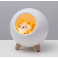 Ночник Roxy Kids Домик для котика
