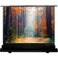 Проекционный экран CACTUS FloorExpert 120x160 CS-PSFLE-160X120