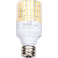 Светодиодная лампочка CPS T75-C-30W-E27 3000К