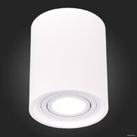 Точечный светильник ST Luce ST156.502.01