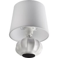 Настольная лампа Lumion Hama 8145/1T