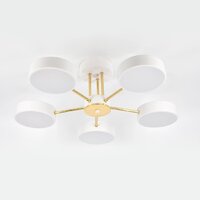 Припотолочная люстра Escada 10262/5LED