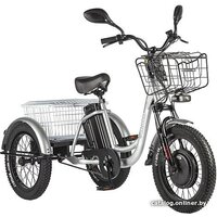 Электровелосипед Eltreco Porter Fat 500 (серебристый)