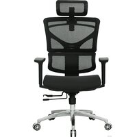 Офисное кресло Evolution ERGO Mesh (черный)