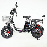 Электровелосипед Smart Balance Master 2025