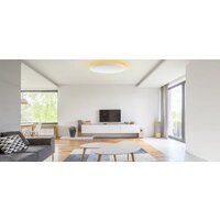 Светильник-тарелка Yeelight Arwen Ceiling Light 450C YLXD013-B