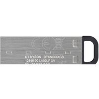 USB Flash Kingston Kyson 256GB