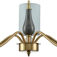 Подвесная люстра Lumion Anri 6590/5