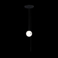 Подвесная люстра LOFT IT Signal 10029PS Black