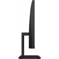 Моноблок ASUS ExpertCenter P400 AiO P440VAK-BPC1530