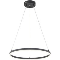 Подвесная люстра Escada Void 10254/1LED (Black APP)