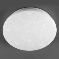 Светильники, люстры, бра, споты General Lighting Plant GSMCL-020-12 800259
