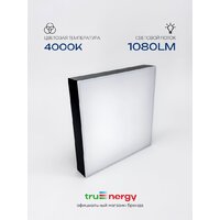 Припотолочная люстра TruEnergy 11170