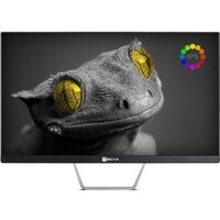 Моноблок ТЕСЛА Z24B 2116500