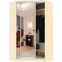 Шкаф-купе Кортекс-мебель Сенатор ШК30 Классика зеркало (венге светлый)