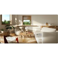 Вентилятор Xiaomi Smart Desktop Air Circulation Fan EU BPLDS10DM (с евровилкой)