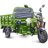 Грузовой электроскутер Rutrike Антей-У 1500 60V 1000W (зеленый)