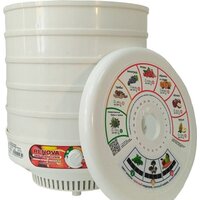 Сушилка для овощей и фруктов Renova DVN31-500/5