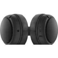 Наушники Panasonic RB-M300BGE-K