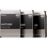 Жесткий диск Synology HAT5300 12TB HAT5300-12T