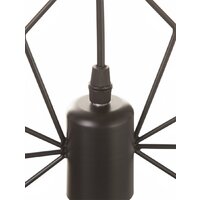 Подвесная люстра BayerLux Spider 10547085 (черный)
