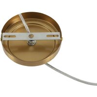 Подвесная люстра Lumion Vermont 8275/1A