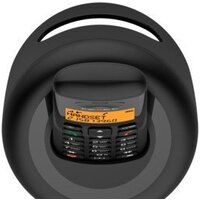 Радиотелефон TeXet TX-D4905A (черный)